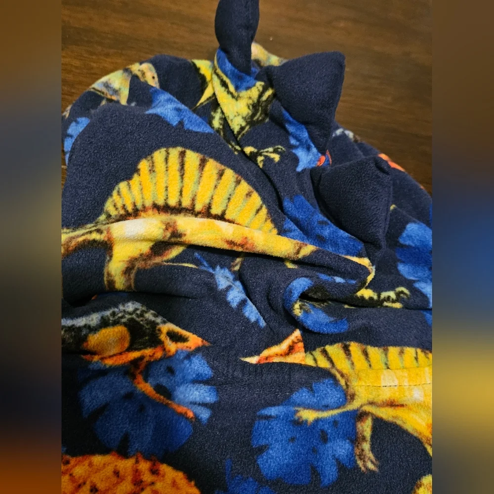 Place Kids Dinosaur Pajama Set - Blue and Orange